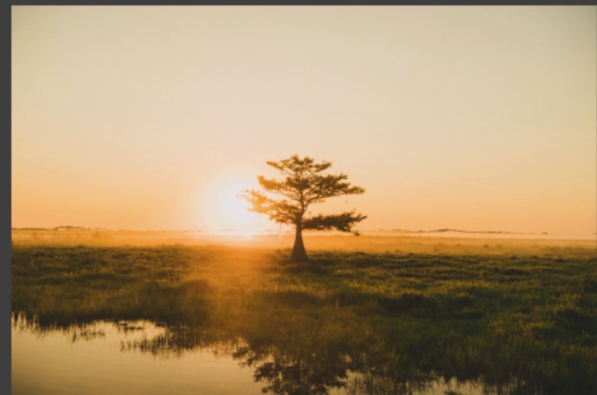 Golden sunset over the St. Johns River with cypress trees along the water's edge